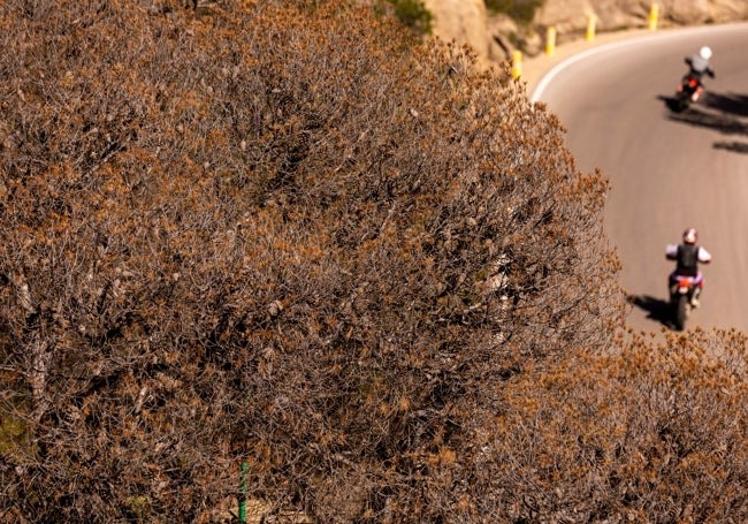 Picture taken from the road between Adales and Álora.