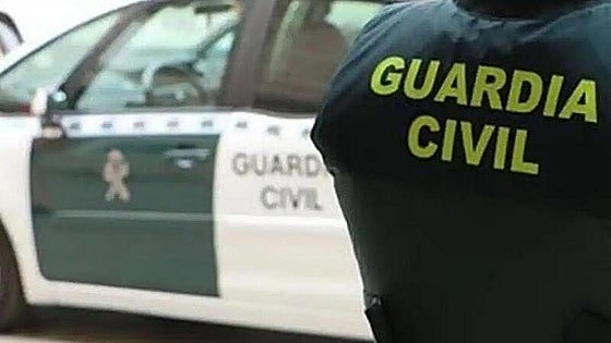 Six arrested after the discovery of a network of olive thieves in inland Malaga province