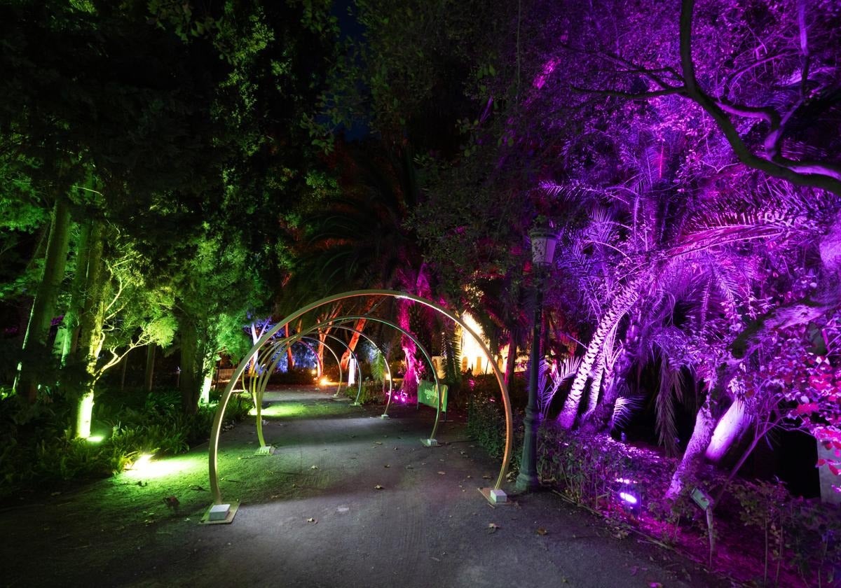 Malaga botanical garden will once again host a sound and light show this Christmas