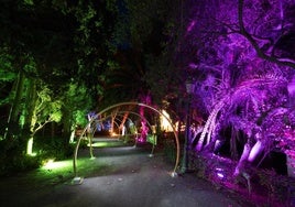 Malaga botanical garden will once again host a sound and light show this Christmas