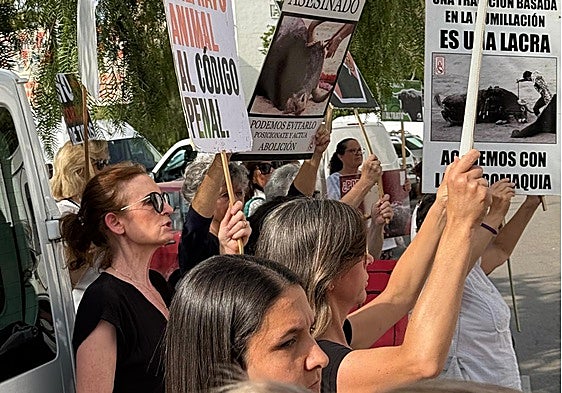 Anti-bullfighting protesters in Marbella demand end to 'outdated and violent spectacle'