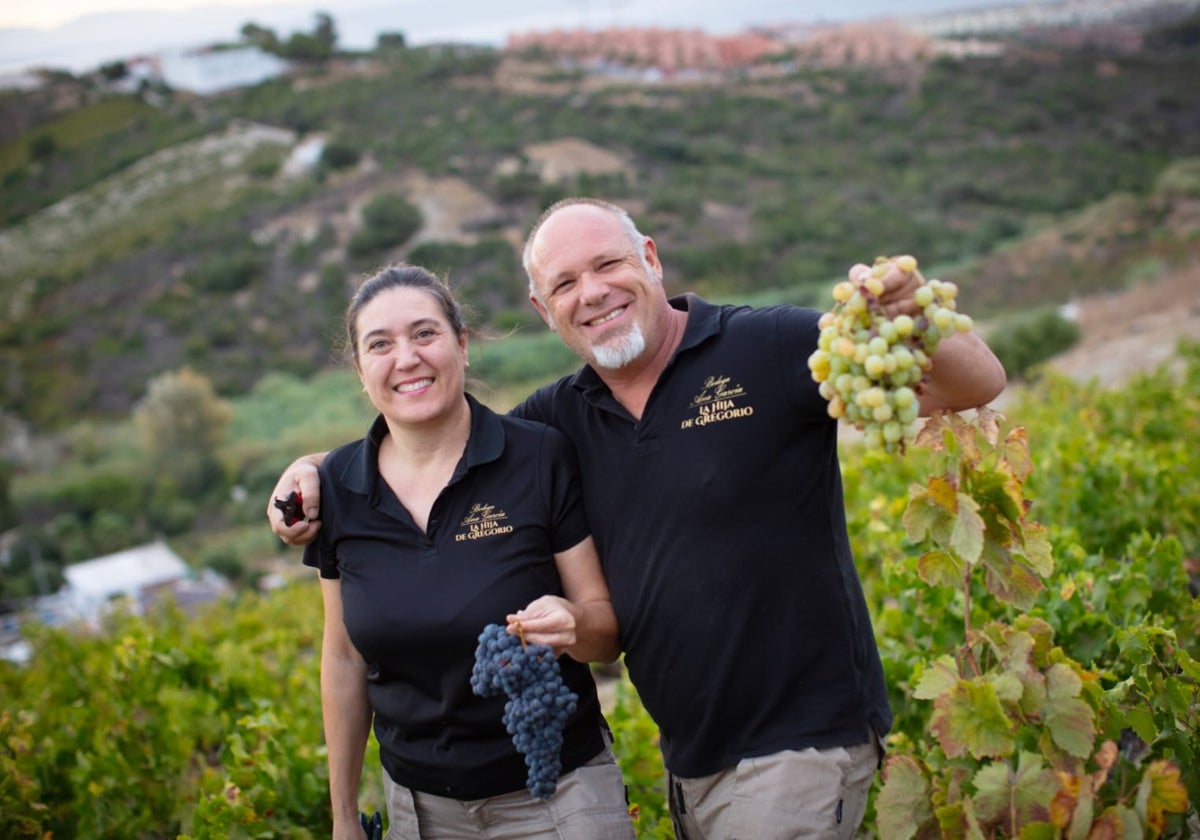 Manilva offers more than sun and sea: discover the taste of its wines