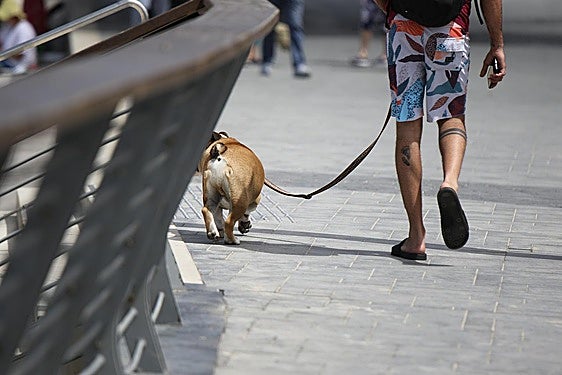 Costa del Sol town hall fines 25 owners for not cleaning up after their pets