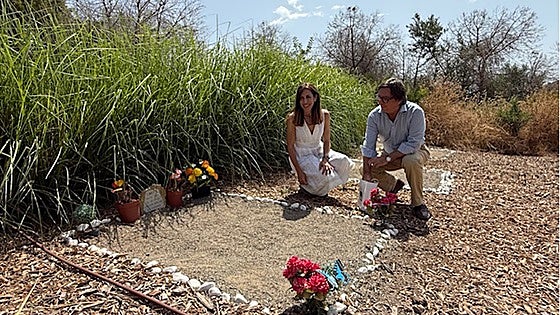 Dogs, cats, rabbits and birds: 320 animals sleep forever in Malaga's municipal pet cemetery