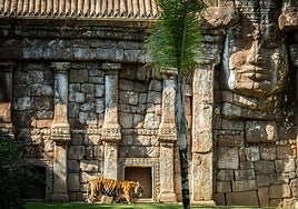 Step into the tropical jungle of BIOPARC Fuengirola, a unique experience on the Costa del Sol