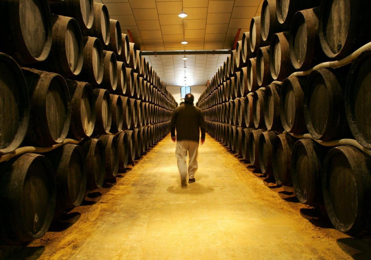 Fermented or barrel-aged?
