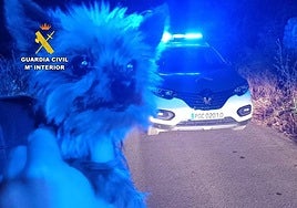 Lucas is the new hero of Balbuente.