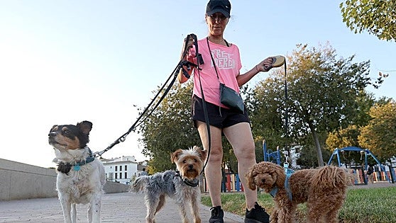 Prospective dog owners to be forced to take four-hour online course: these are the new changes proposed to animal welfare law in Spain