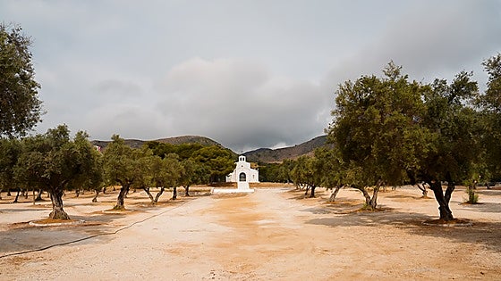 Torremolinos completes first phase of improvement work in Olivar Manantiales natural space