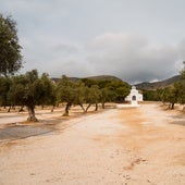 The work has been carried out in the Olivar Manantiales and Ermita de San Miguel area.