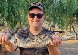 Caiman captured