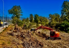 The work to renaturalise the Guadaiza river began with the cleaning of the riverbed and the elimination of invasive species.