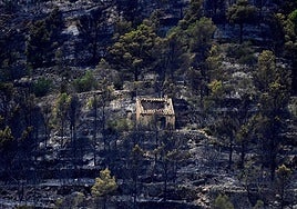 Photo of the charred landscape in Paüls, in Tarragona.