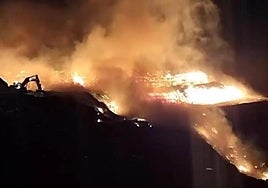 Explosion of canister at landfill site sparked wildfire at Costa del Sol recycling plant