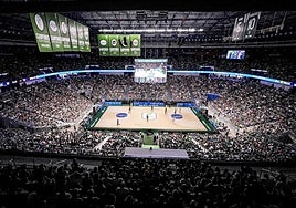 The view inside the Martín Carpena area during a game this year.