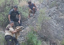 Ranger Manuel Lorenzo and head of the Local Police Plácido Iranzo during the rescue of the German hiker.