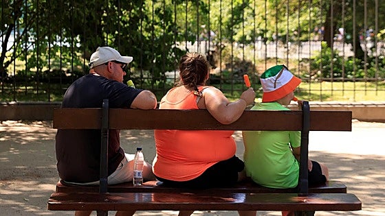 The heat is on in Malaga and along Costa del Sol as Aemet activates amber alert for high temperatures of up to 40C