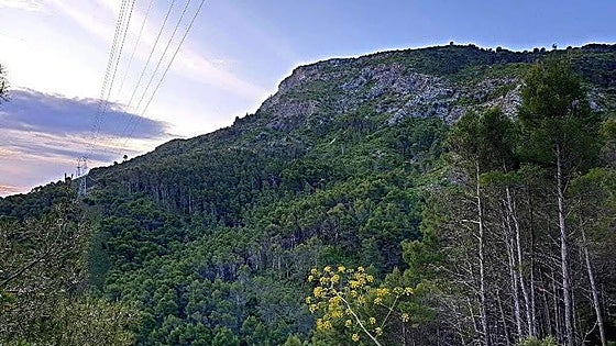 Alhaurín el Grande wants to protect its Sierra and calls for natural park status