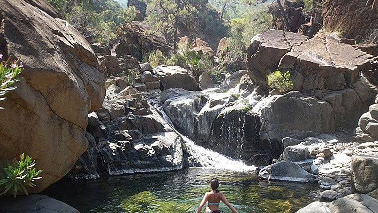 Seven things to see and do in Estepona on the Costa del Sol this summer