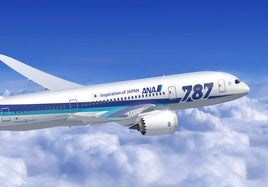 File image of an aircraft in the All Nippon Airways fleet.