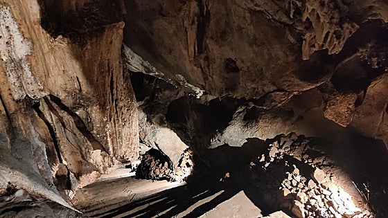 Ardales takes first step towards making its Palaeolithic cave a World Heritage site