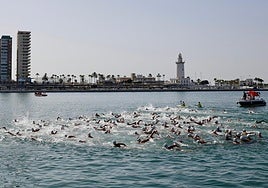Swimmers cross Malaga port in open water race