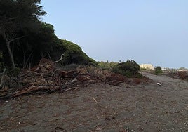 The work at the Matas Verdes dunes, currently on hold.