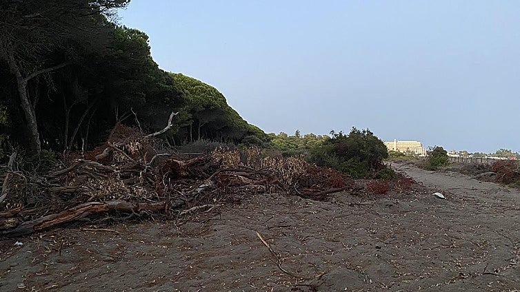 Work on new section of Costa del Sol's coastal path halted after protected dunes concerns
