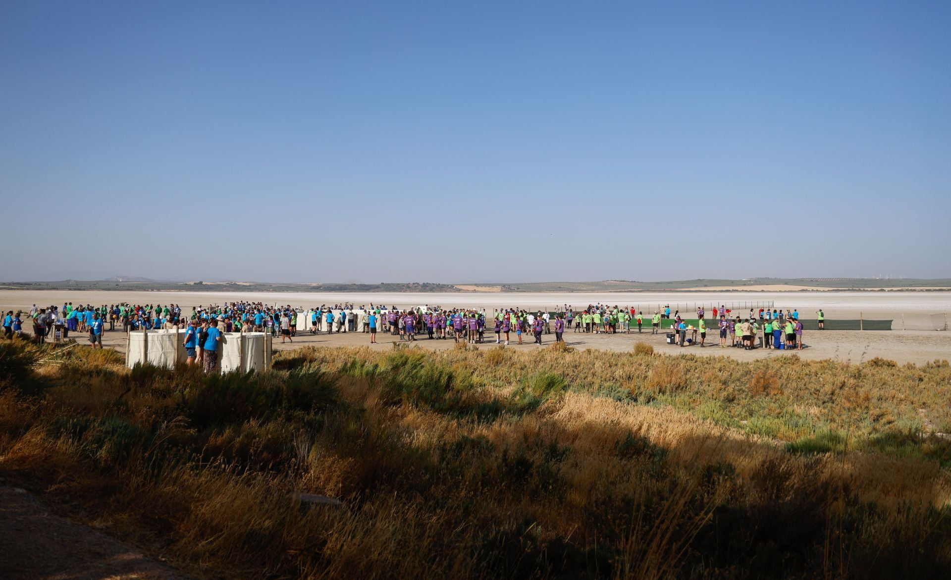 Flamingo ringing returns to Fuente de Piedra after years of drought