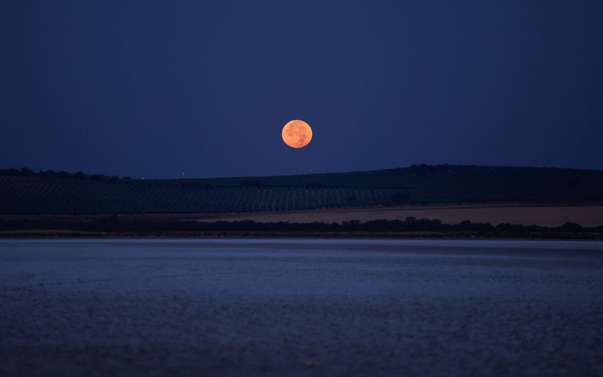 Flamingo ringing returns to Fuente de Piedra after years of drought