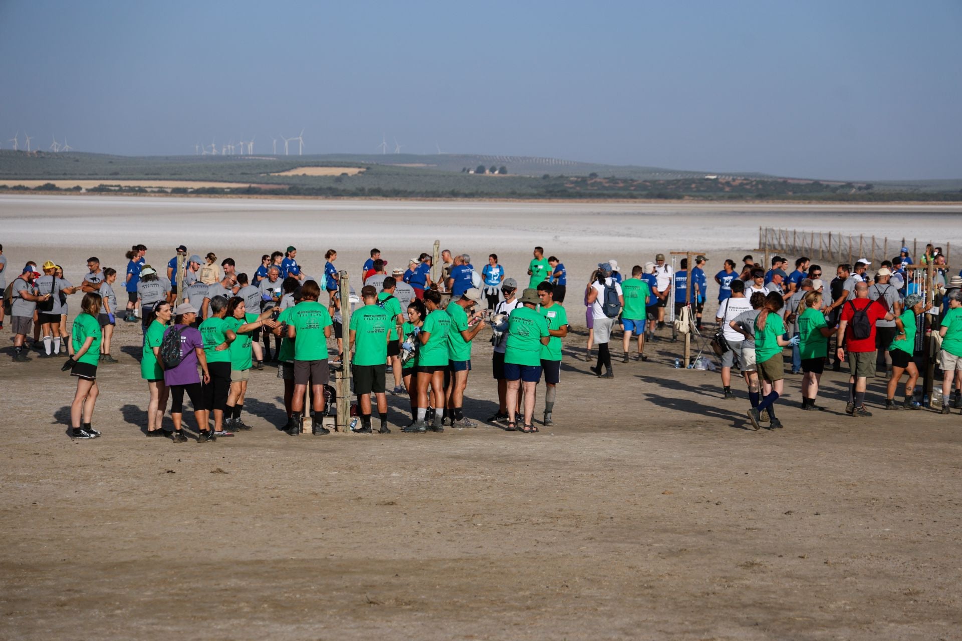 Flamingo ringing returns to Fuente de Piedra after years of drought