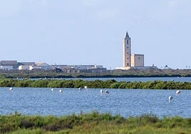 This year the wetlands of Cabo de Gata are shining with water and numerous flamingos.