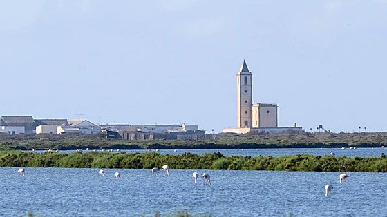 The strange reason why Almeria's wetlands look pink at certain times of year