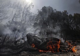 Area affected by the fire in the town of Carcastillo in Navarre.