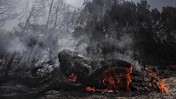Spain's government activates pre-emergency phase amid multiple wildfires around the country