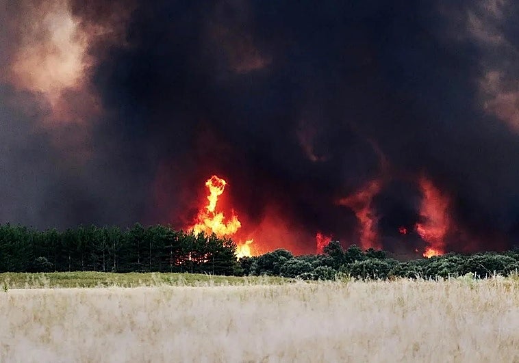 León and Zamora fire on course to become the worst in Spain's history