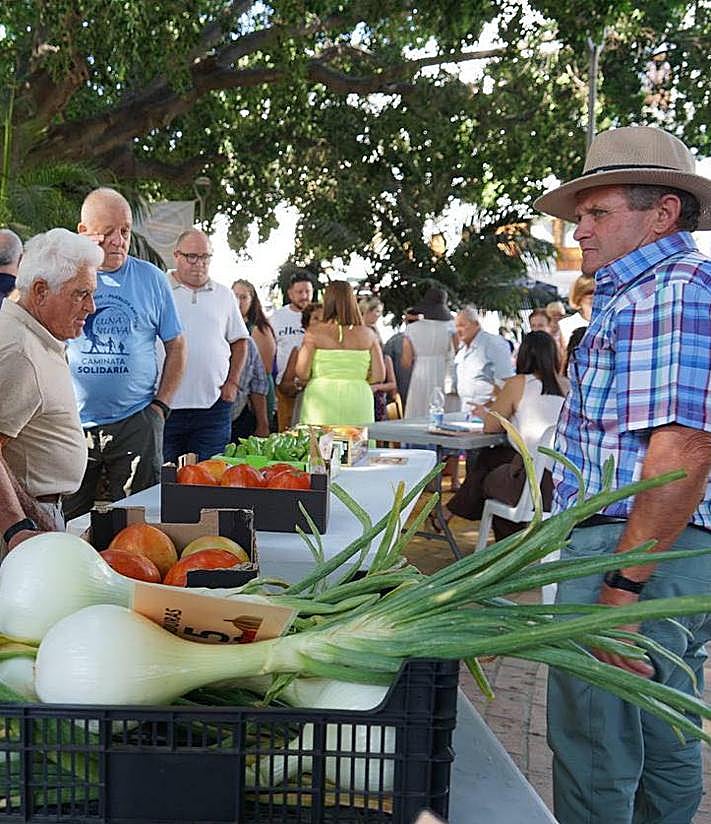 Imagen secundaria 2 - &#039;Bull&#039;s balls&#039; reign supreme at Coín&#039;s tomato festival