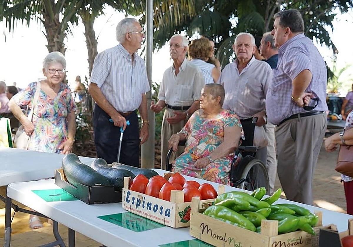 Imagen principal - &#039;Bull&#039;s balls&#039; reign supreme at Coín&#039;s tomato festival