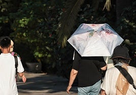 Long heatwave reaches Malaga province: amber warning for maximum temperatures of up to 42C this weekend