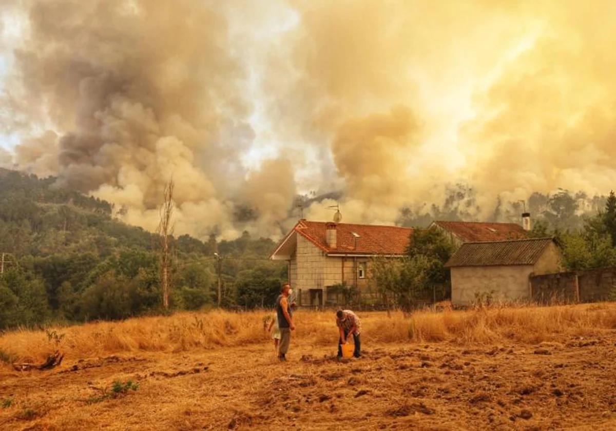 Map of wildfires in Spain: surface area burned this year is largest recorded in the last thirty years