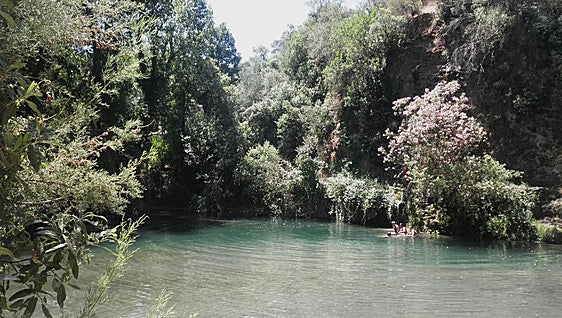 Seven things not to be missed when visiting the Serranía de Ronda's lower Genal valley this summer