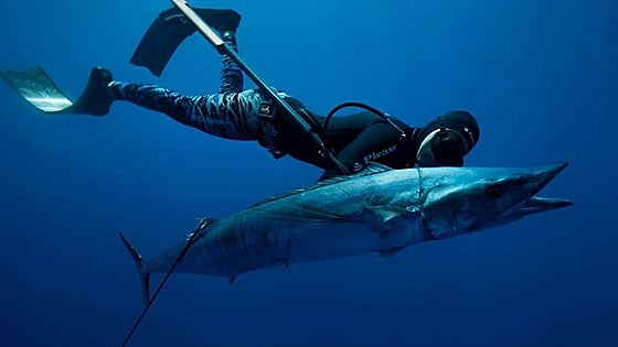 Spanish tourist drowns while spearfishing in Bali