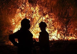 Forest firefighters tackle a blaze in the province of Lugo, Spain.