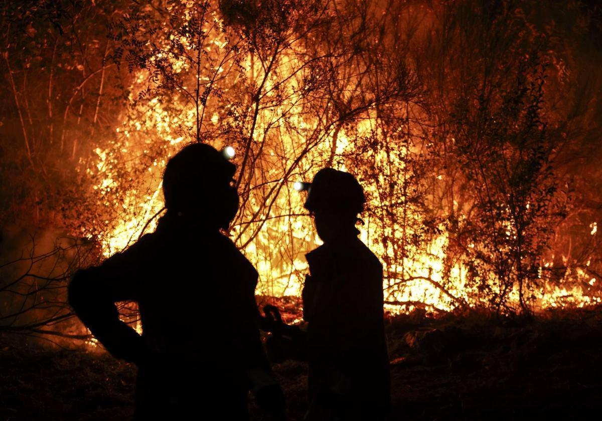 Spain loses almost 3,000 firefighters in one year despite increase in number of more virulent fires