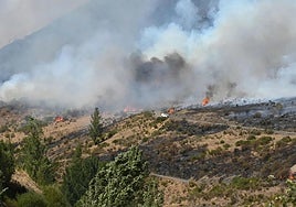 The Fasgar forest fire, which has been burning in El Bierzo for 21 days.