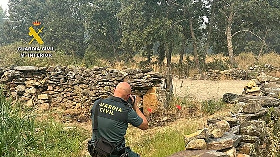 Who was responsible for starting the devastating wildfires in Spain's Castilla y León region? These are the profiles of the main suspects...