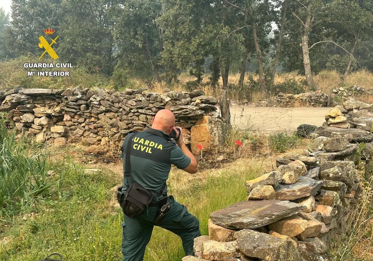 Who was responsible for starting the devastating wildfires in Spain's Castilla y León region? These are the profiles of the main suspects...