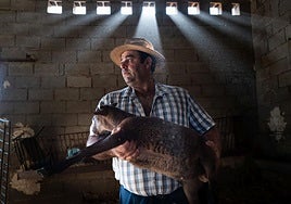 Oliberto Romero runs the farm in Órgiva where the first outbreak of bluetongue in the province was confirmed.