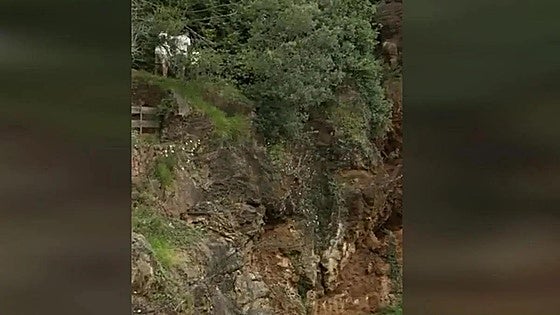 Police investigation after video shows three tourists trespassing in wolf enclosure at natural park in Spain