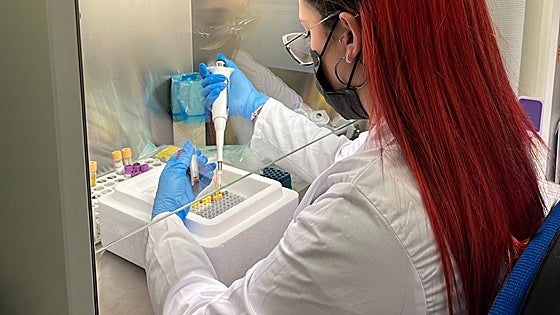Malaga at forefront of organ and tumour laboratory development for testing of new drugs